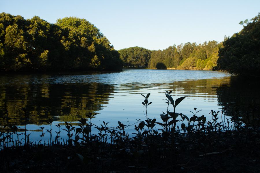 Cooks River.